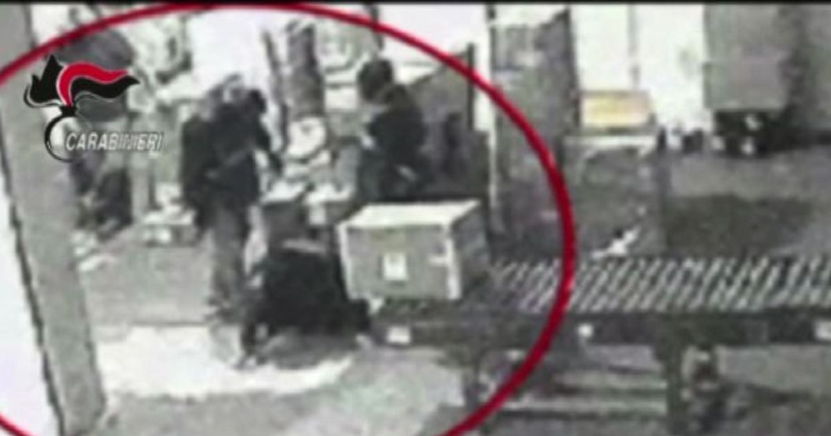 Video News 17/11/2015