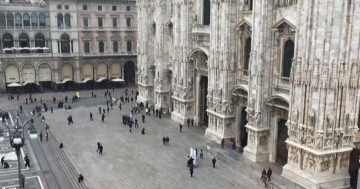 Video News 17/11/2015