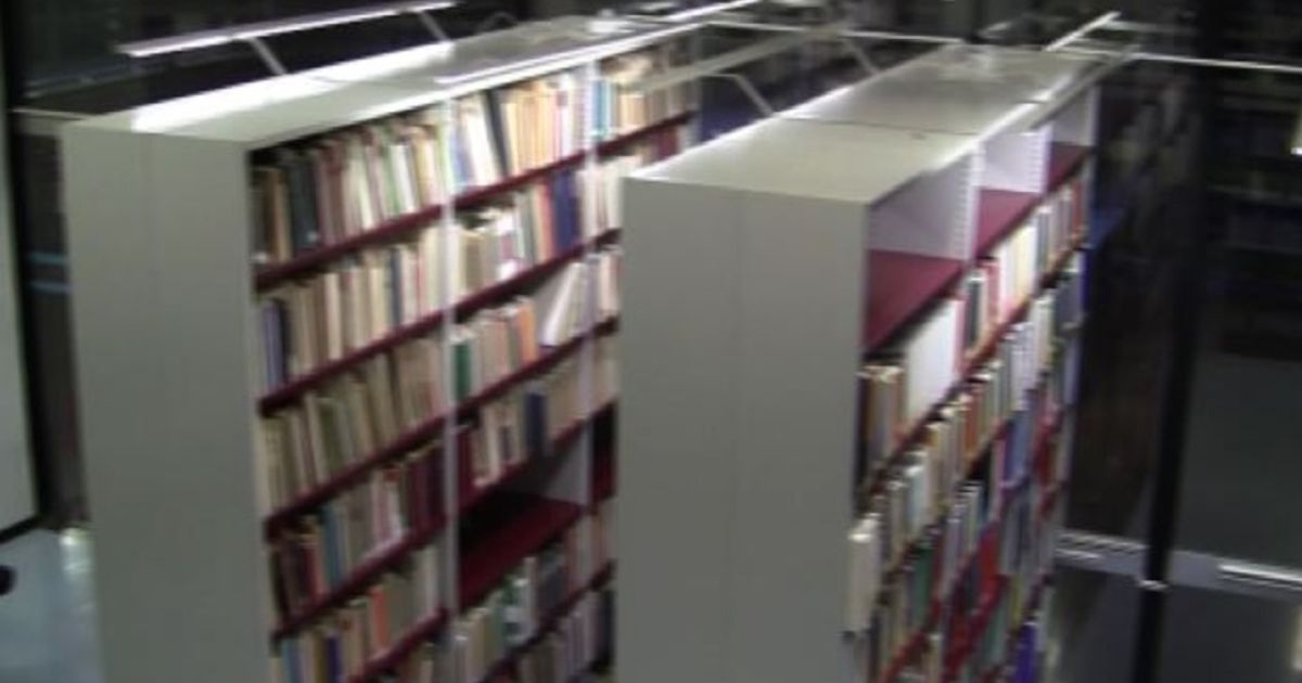 Video News 17/11/2015