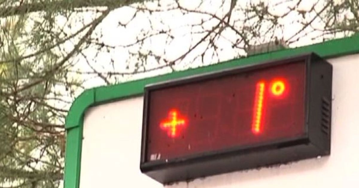 Video News 18/11/2015