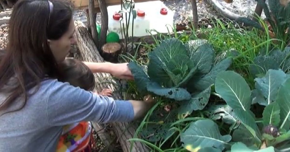 Video News 19/11/2015