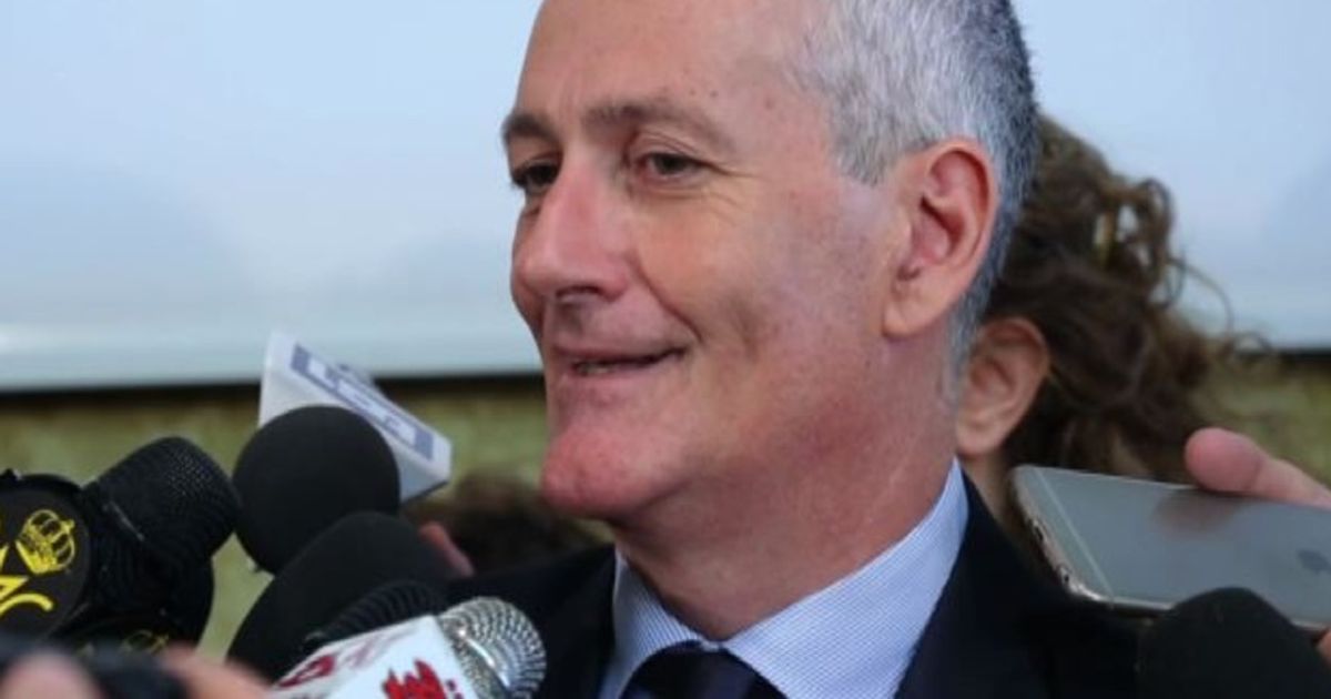 Video News 19/11/2015