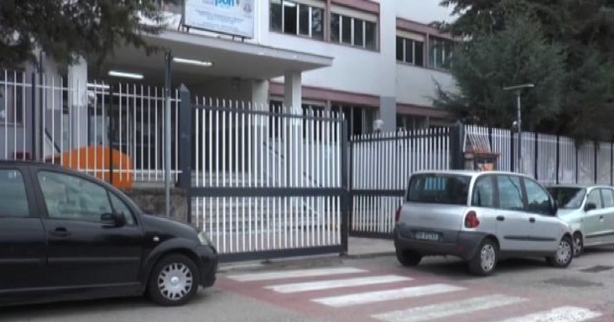 Video News 19/11/2015