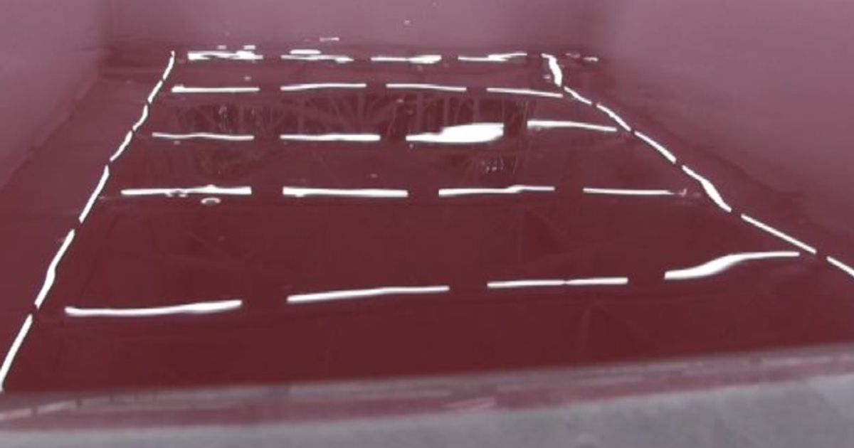 Video News 19/11/2015