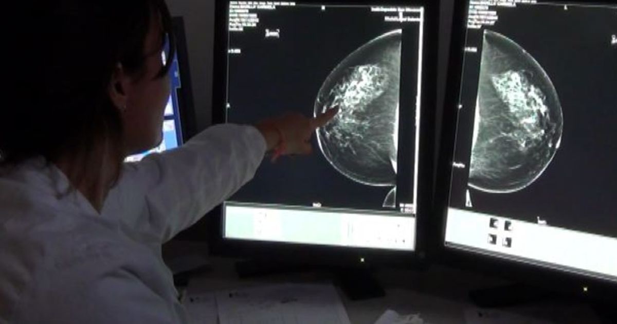 Video News 19/11/2015