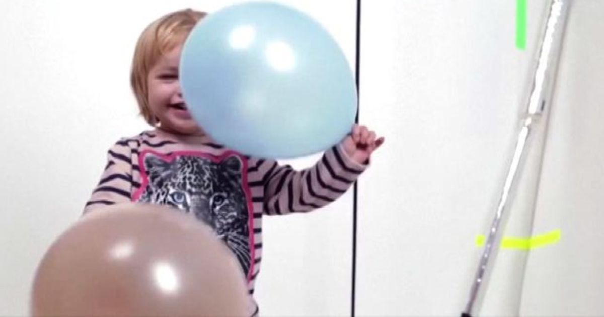 Video News 19/11/2015