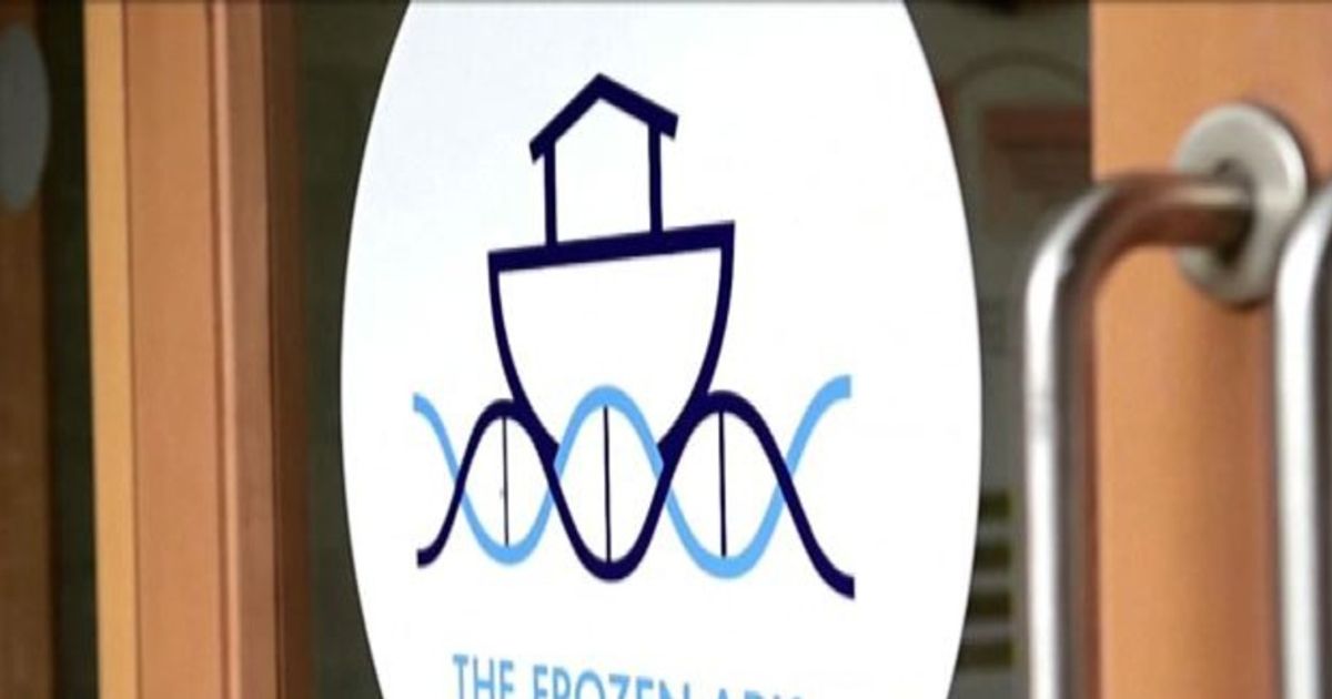 Video News 22/11/2015