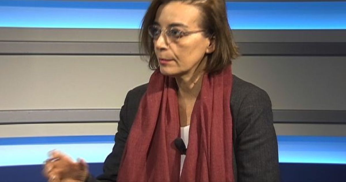 Video News 20/11/2015