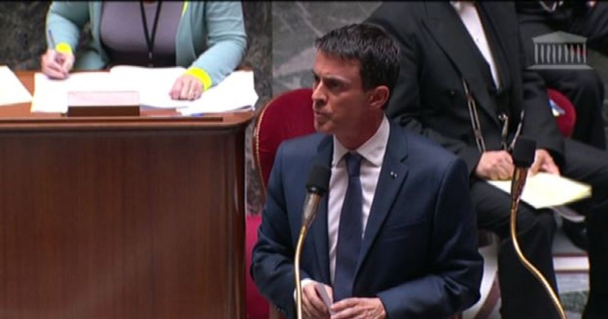 Video News 19/11/2015