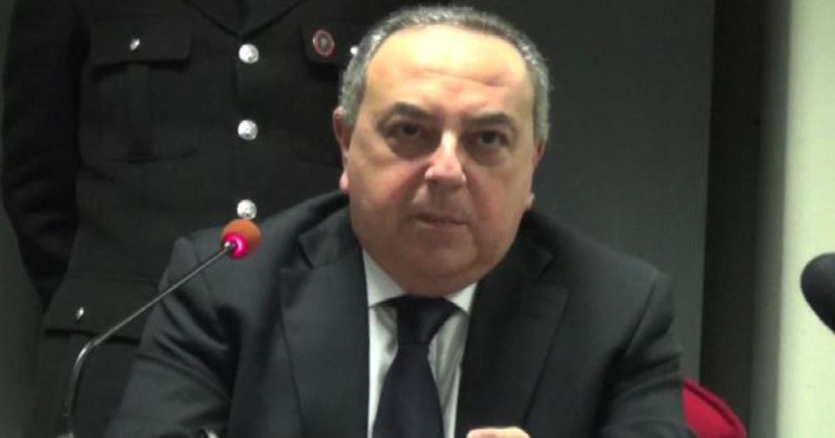 Video News 20/11/2015