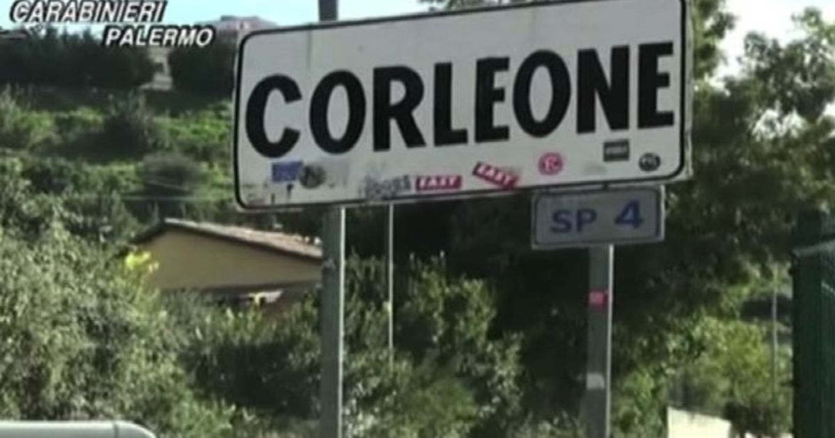 Video News 20/11/2015