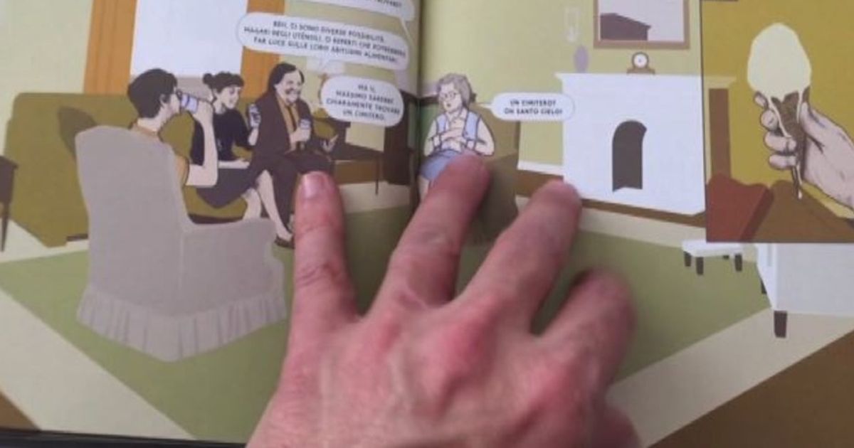 Video News 20/11/2015