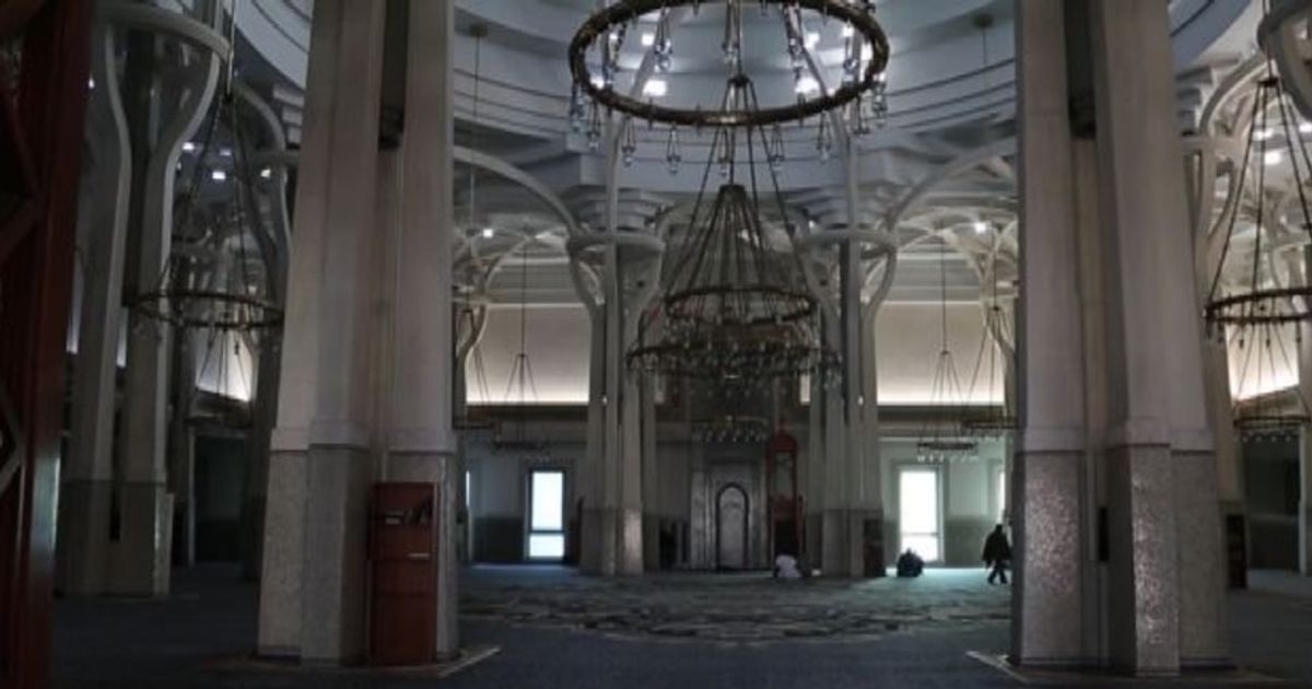 Video News 20/11/2015