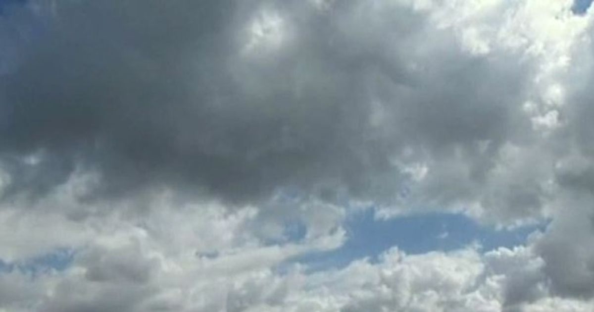 Video News 20/11/2015