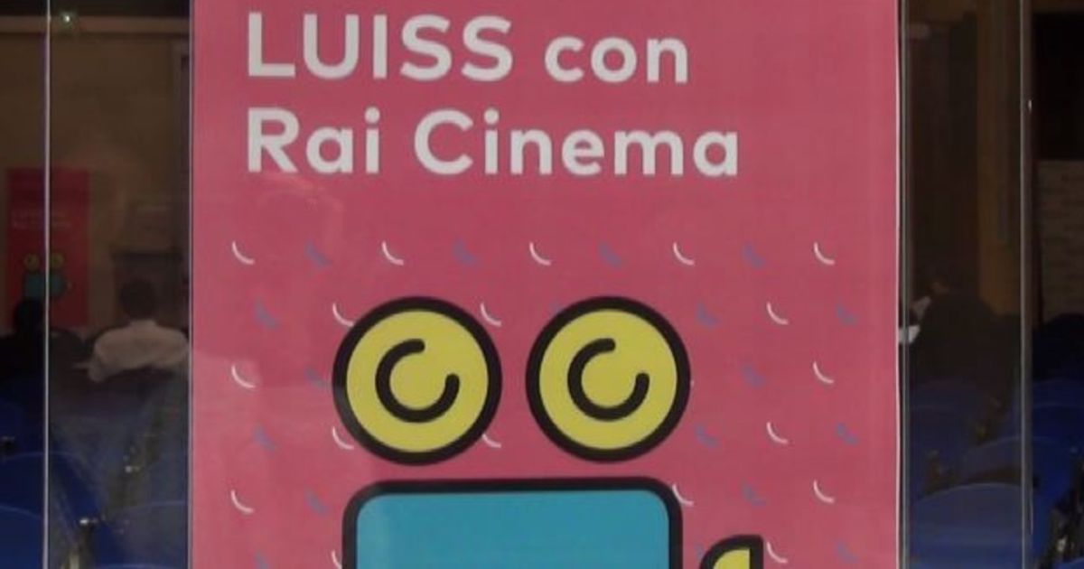 Video News 20/11/2015