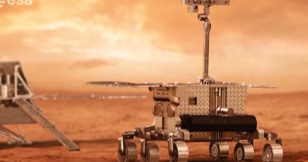 Video News 21/11/2015