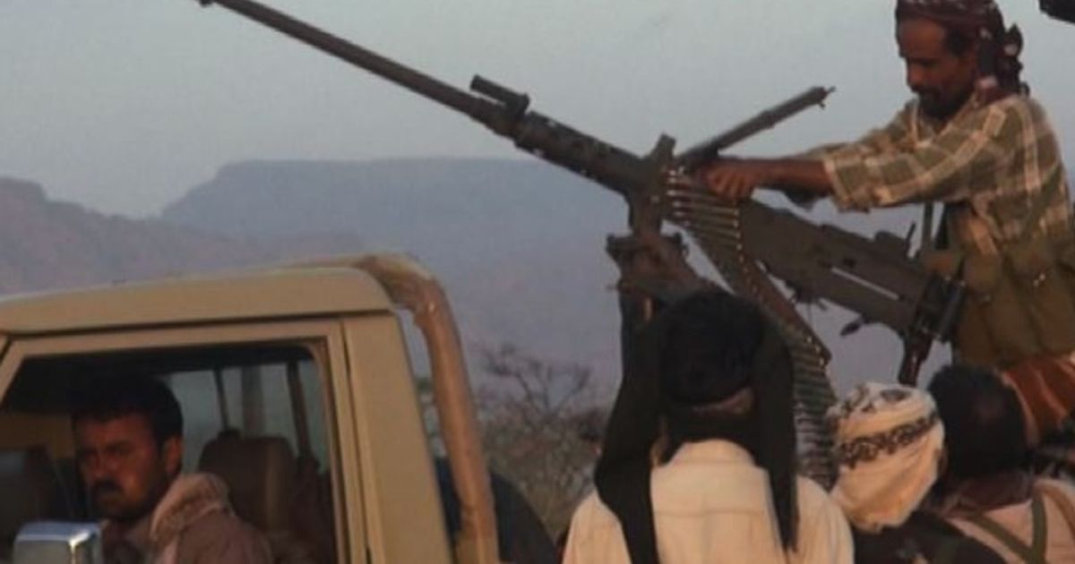 Video News 21/11/2015