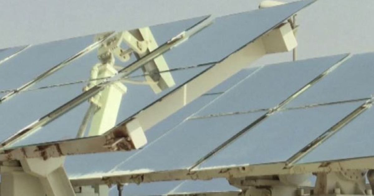 Video News 23/11/2015