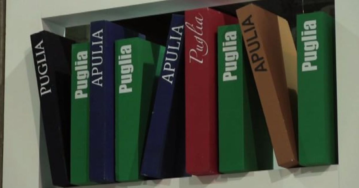 Video News 23/11/2015