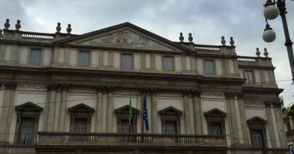 Video News 23/11/2015