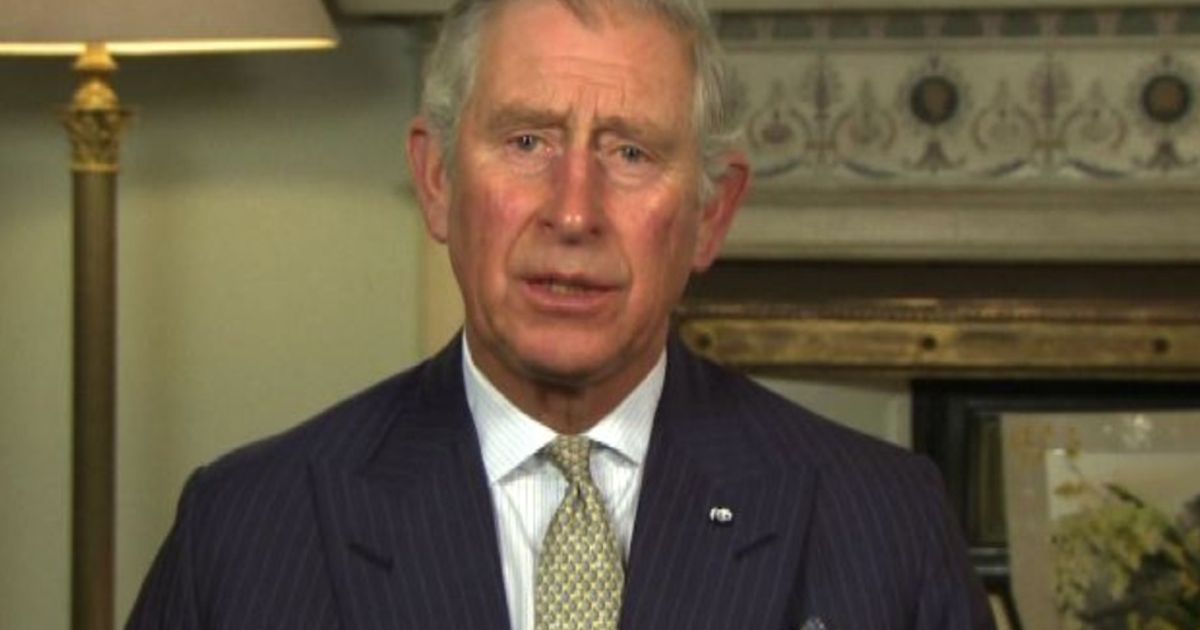 Video News 23/11/2015