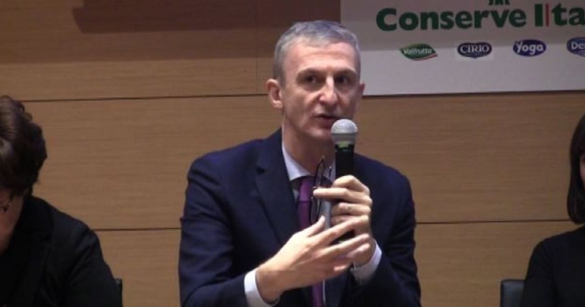 Video News 23/11/2015