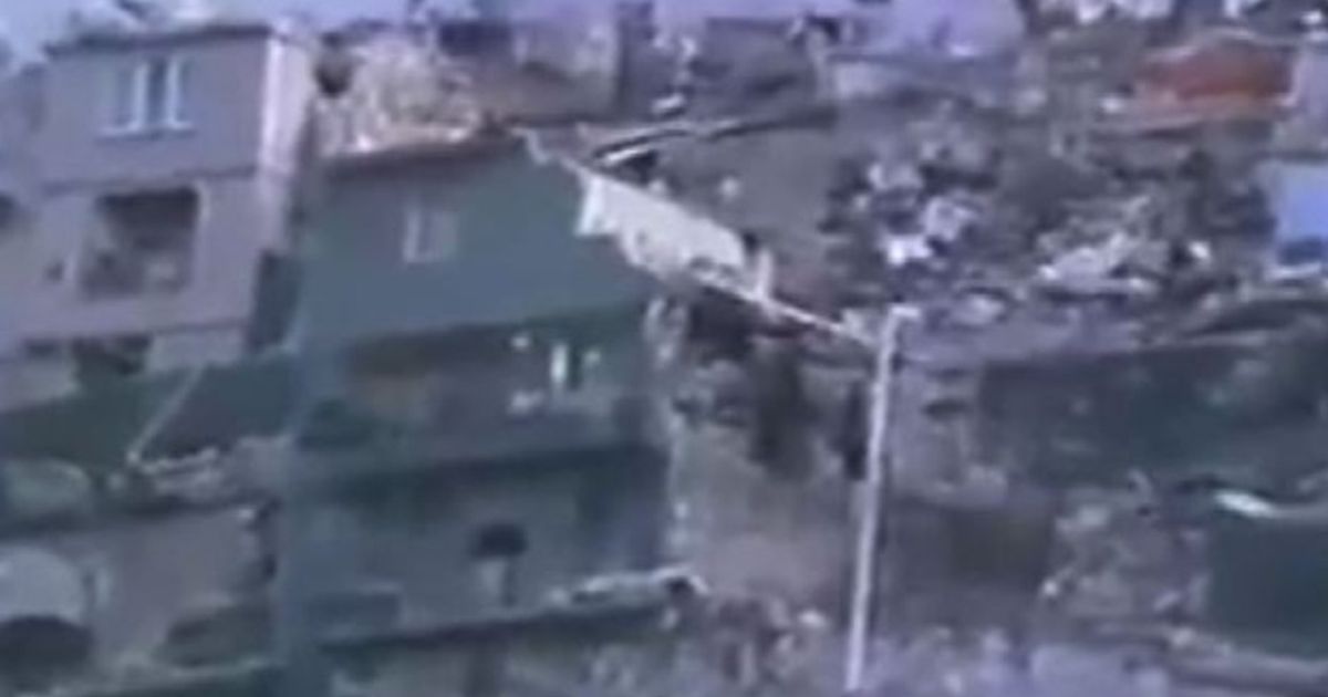 Video News 23/11/2015