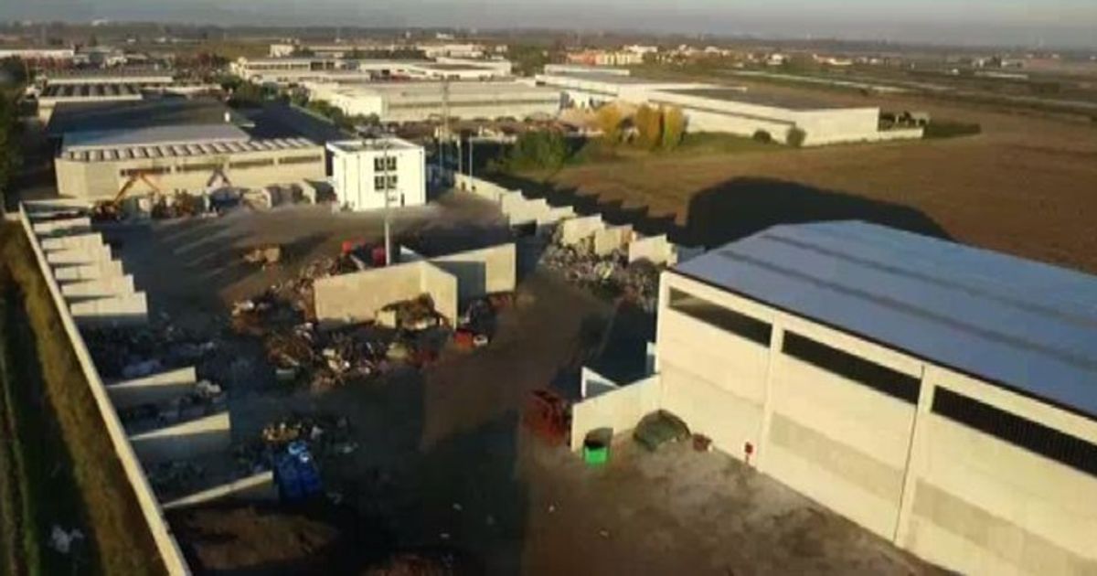 Video News 24/11/2015