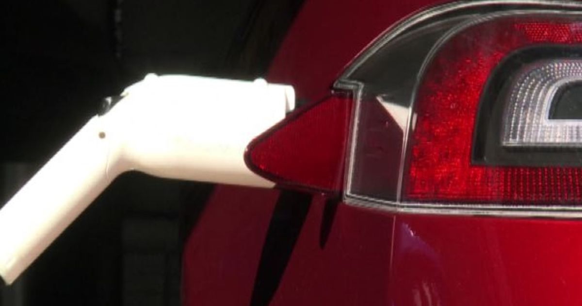 Video News 24/11/2015