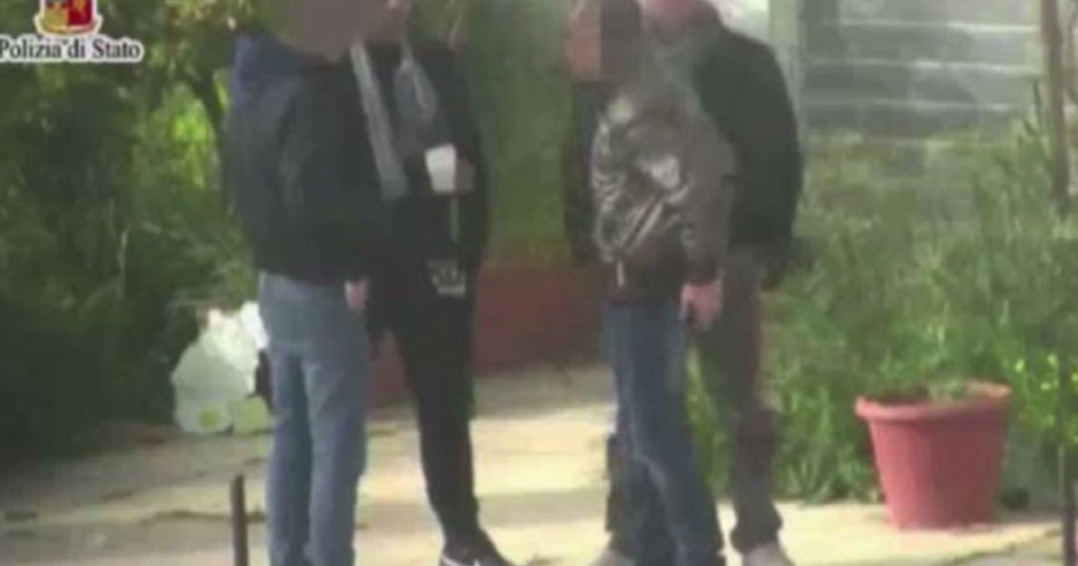 Video News 24/11/2015