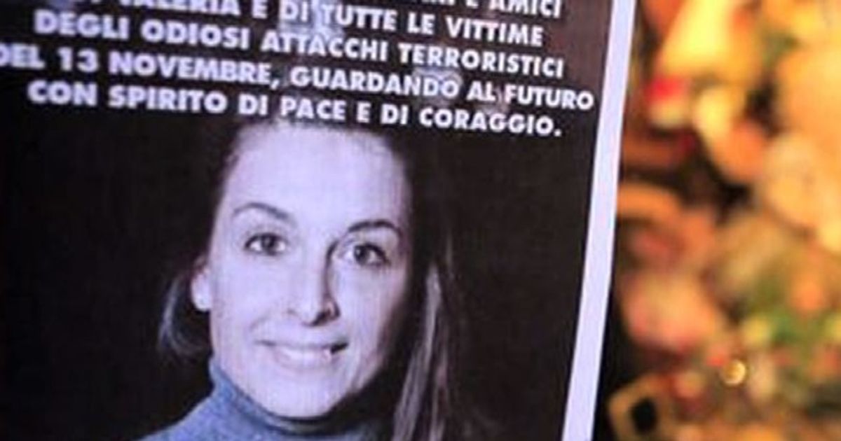 Video News 24/11/2015