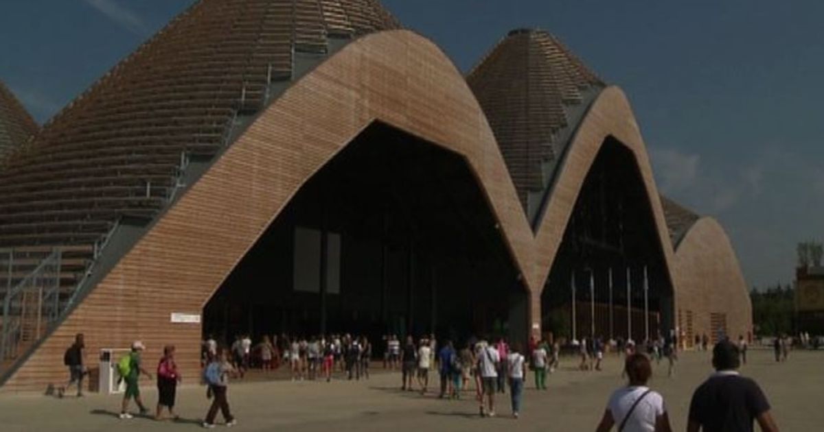 Video News 24/11/2015