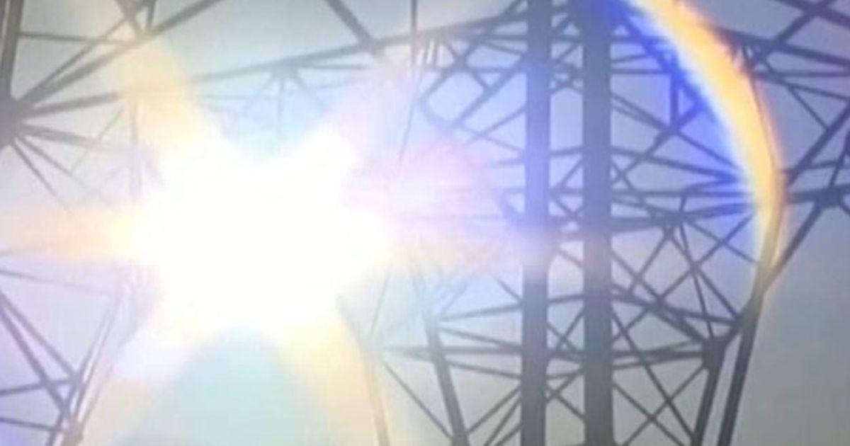 Video News 25/11/2015