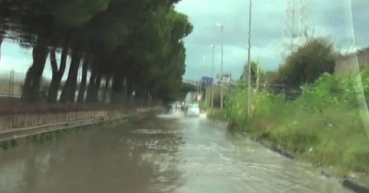 Video News 25/11/2015