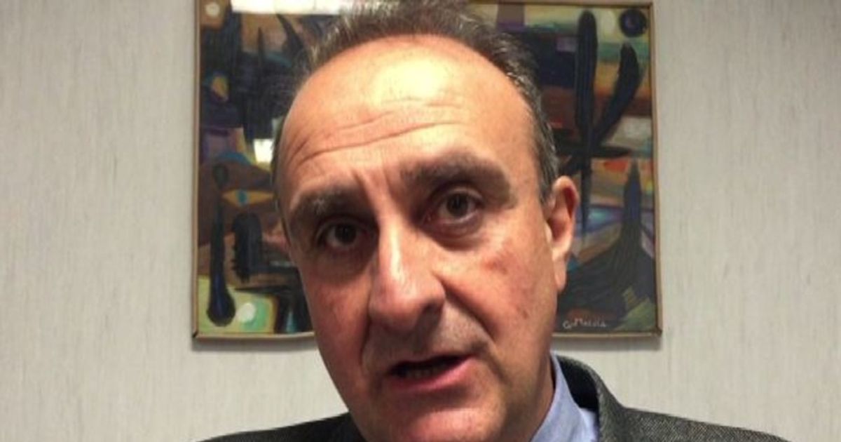 Video News 25/11/2015