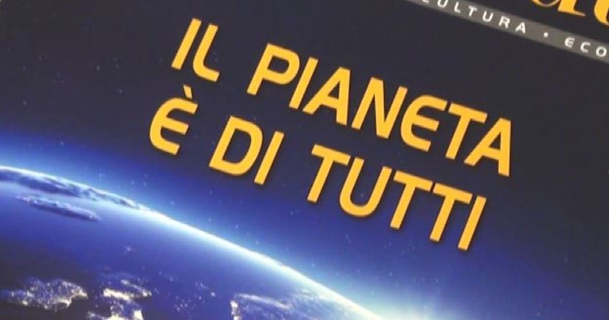 Video News 26/11/2015