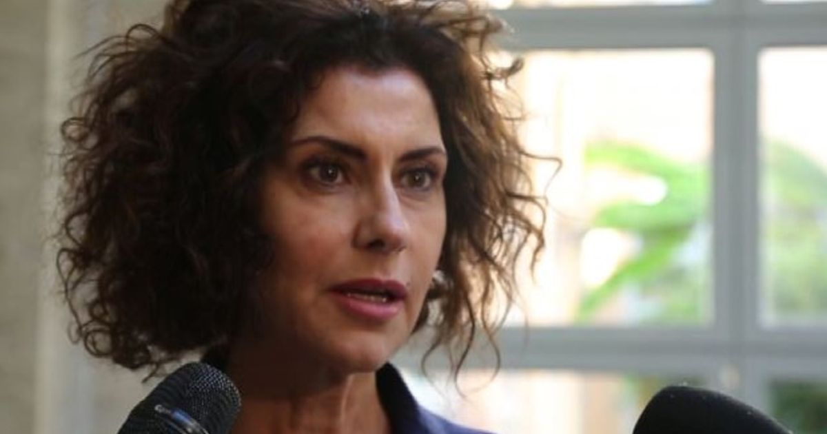 Video News 25/11/2015