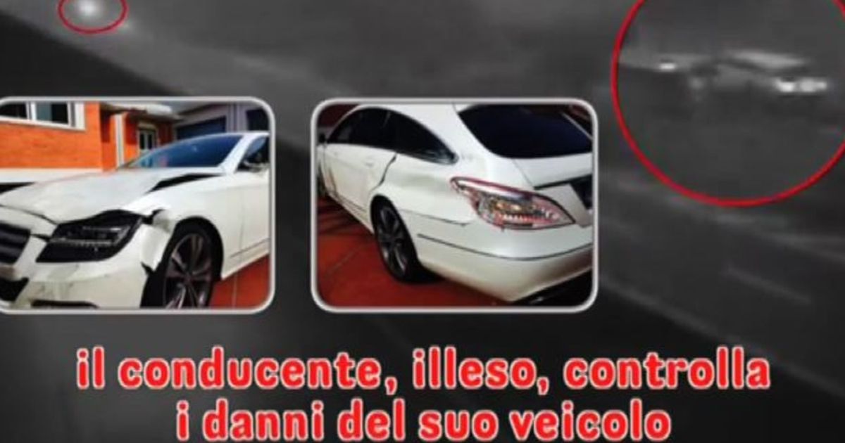 Video News 26/11/2015