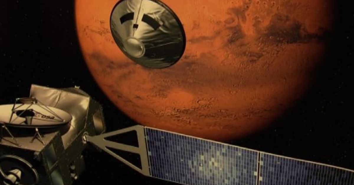 Video News 26/11/2015