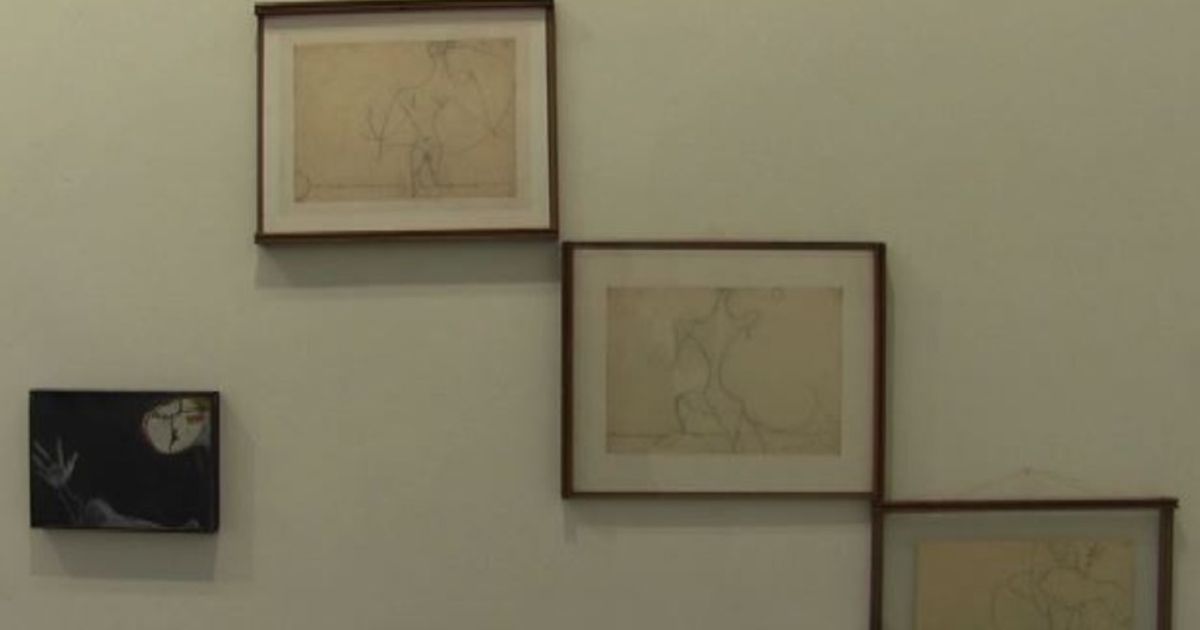 Video News 27/11/2015