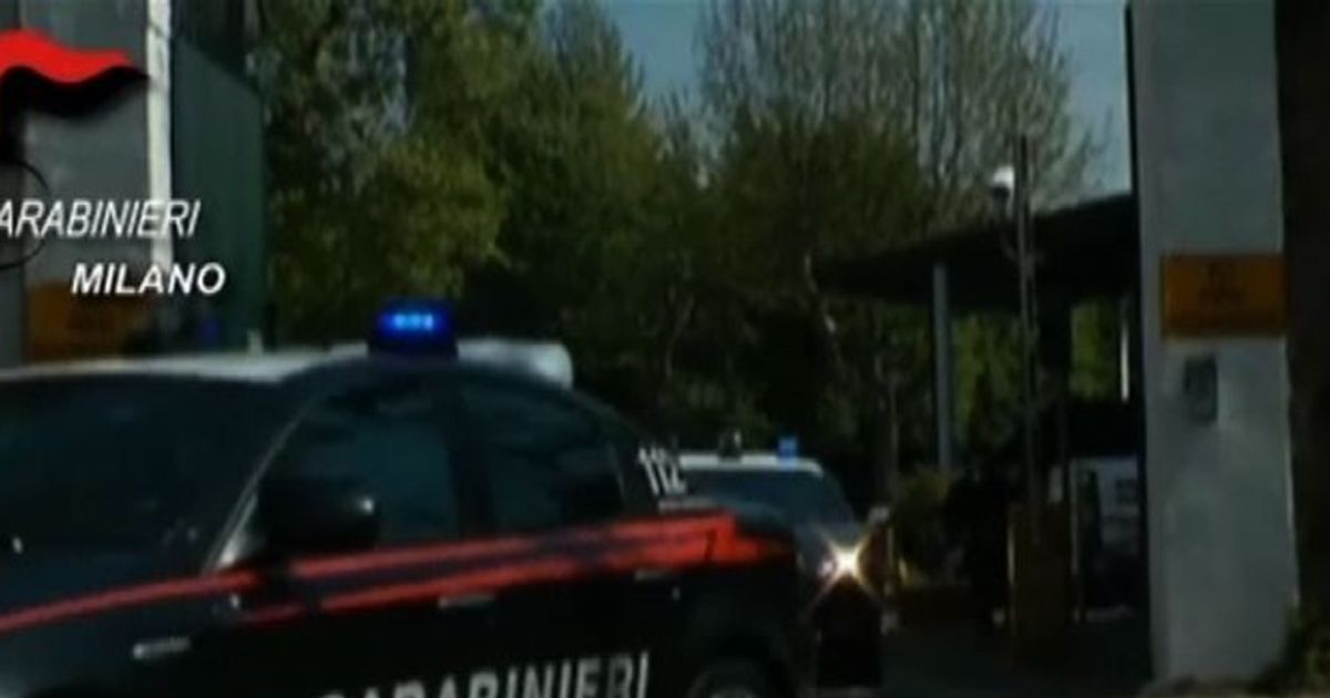 Video News 30/11/2015