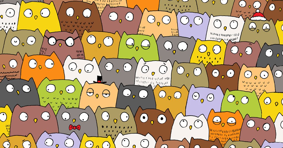 Un gatto è nascosto tra decine di gufi: ecco il nuovo rompicapo di Gergely Dudás!