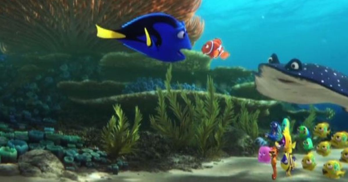 Video News 01/12/2015