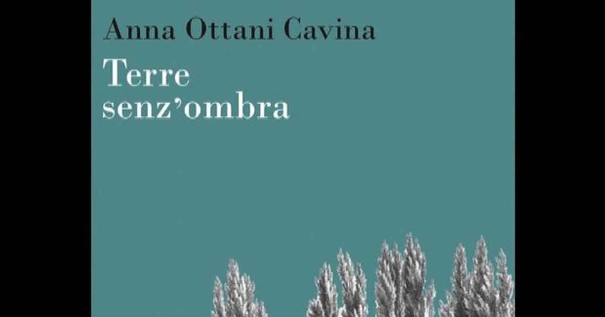 Video News 01/12/2015