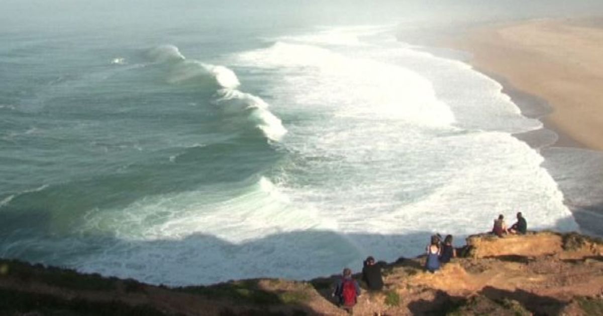 Video News 02/12/2015