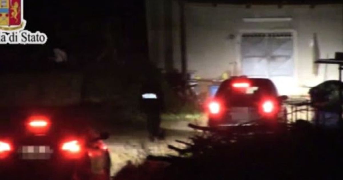 Video News 02/12/2015