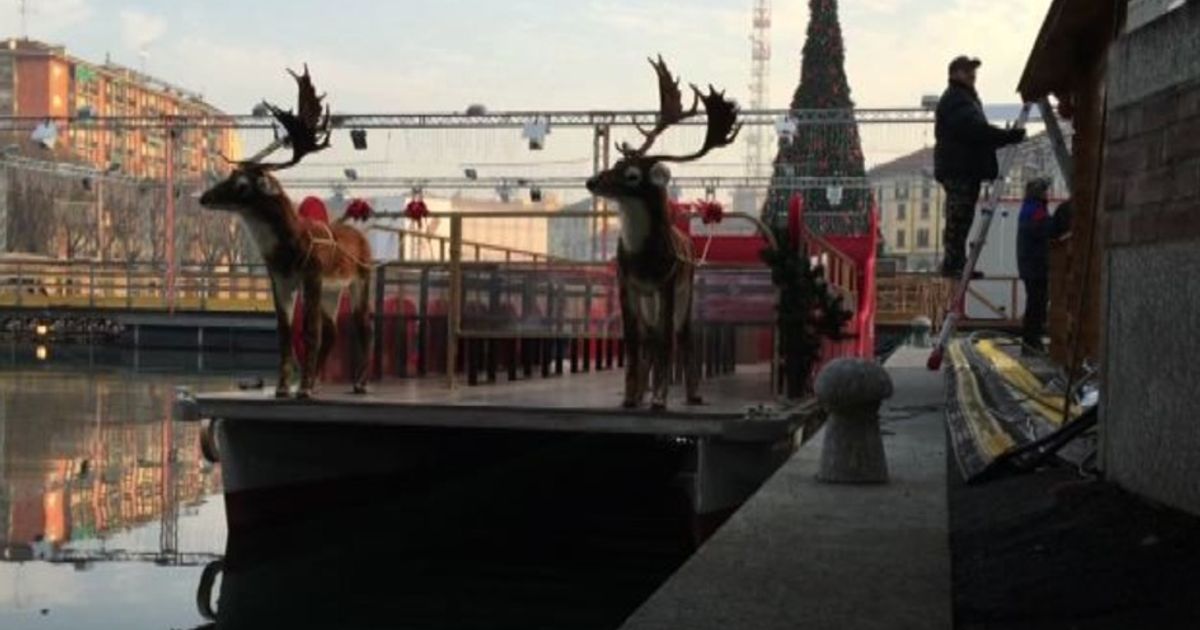 Video News 03/12/2015