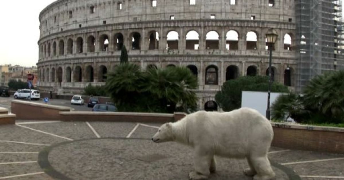 Video News 10/12/2015