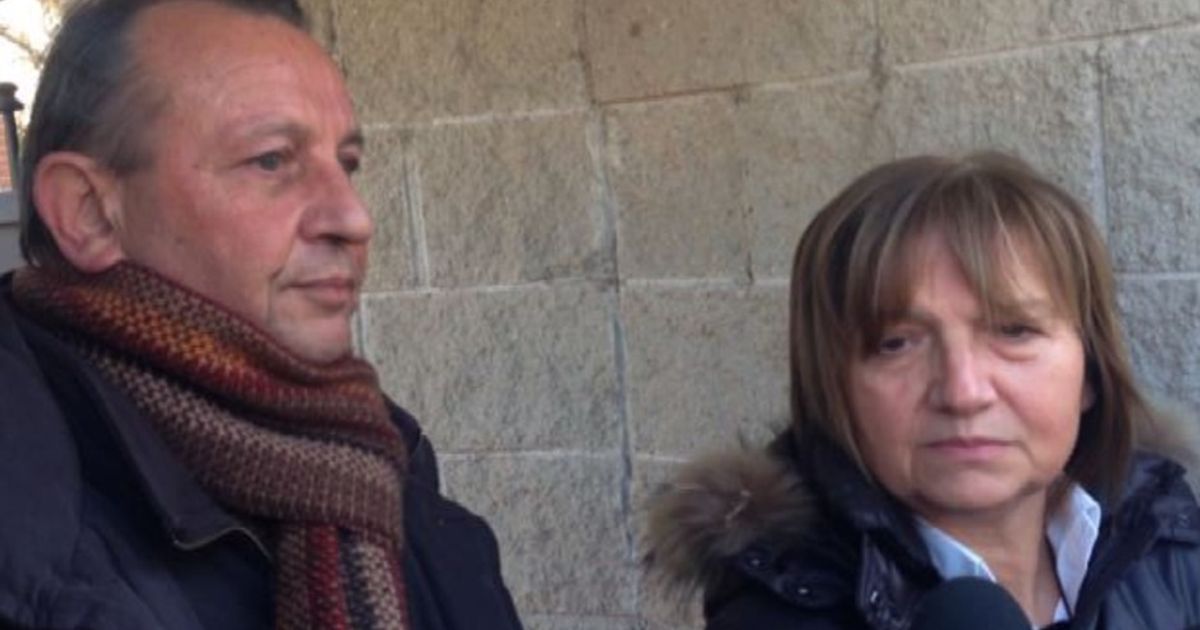 Video News 12/12/2015