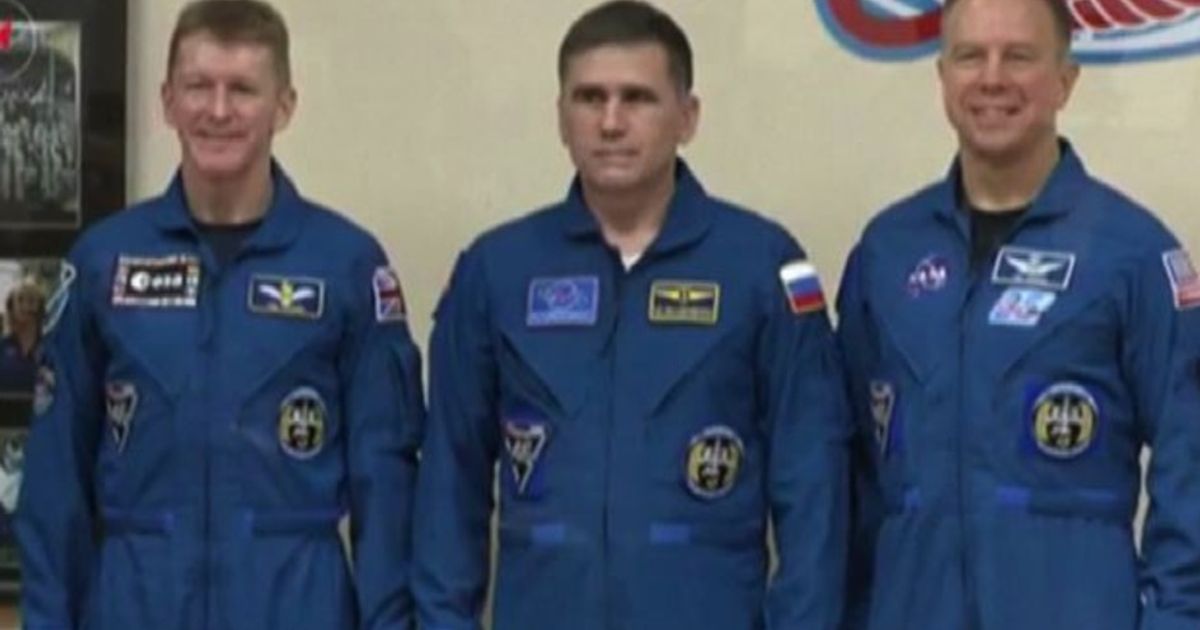 Video News 14/12/2015